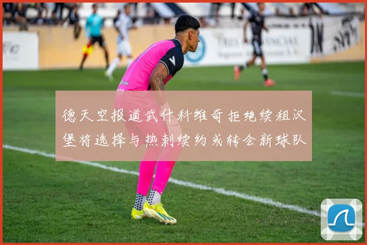 德天空报道武什科维奇拒绝续租汉堡将选择与热刺续约或转会新球队